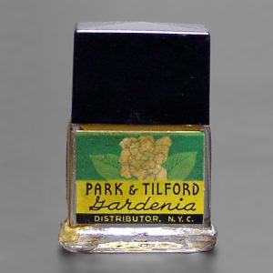 Gardenia von Park & Tilford